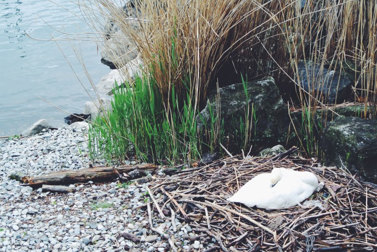 Processed with VSCO with f2 preset