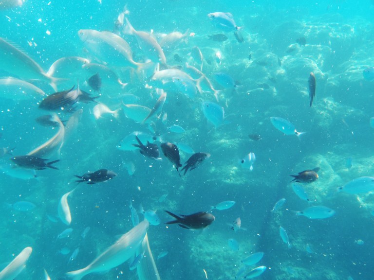 Processed with VSCO with f2 preset