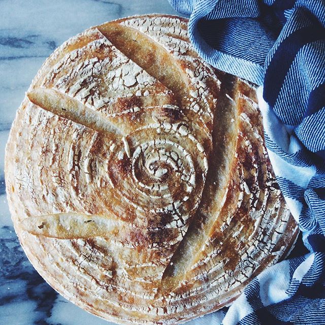 14063100_252828611782903_512908754_n