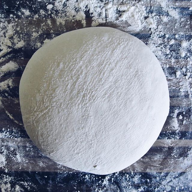 14063607_293862847647481_964522690_n