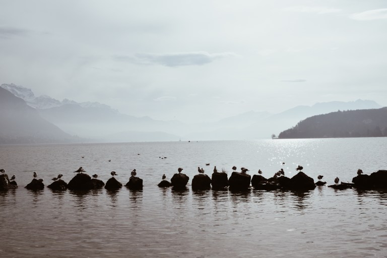 Processed with VSCO with a4 preset